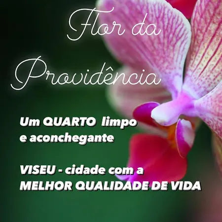 Flor Da Providencia