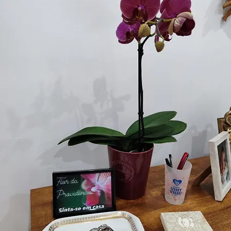 Flor Da Providencia شقة