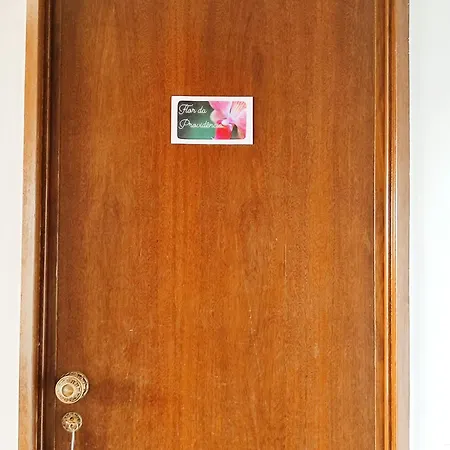 Flor Da Providencia