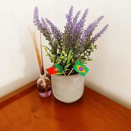 Flor Da Providencia *