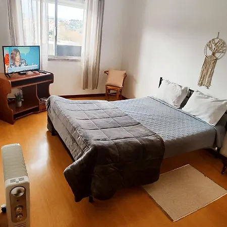 Flor Da Providencia Viseu