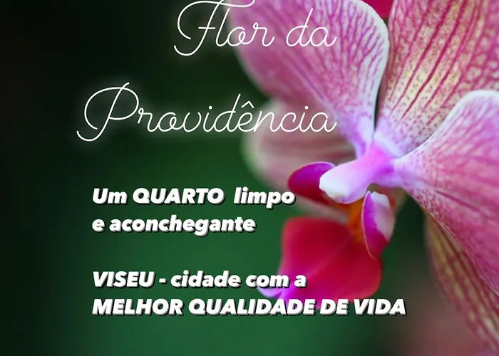 Flor Da Providencia