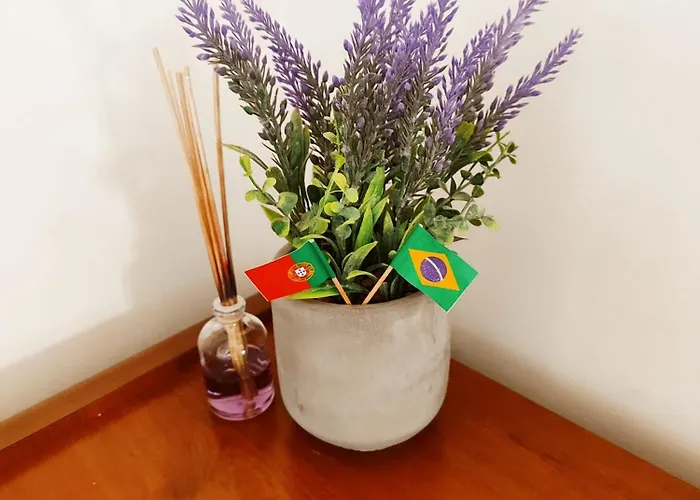 Flor Da Providencia *