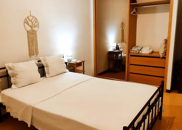 Flor Da Providencia * ויסאו